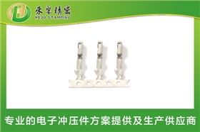 新能源汽車母端子3